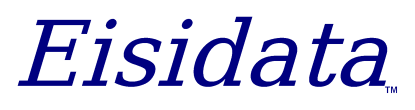 Eisidata Logo